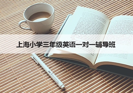上海小学三年级英语课外辅导