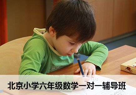 北京小学六年级数学一对一辅导班