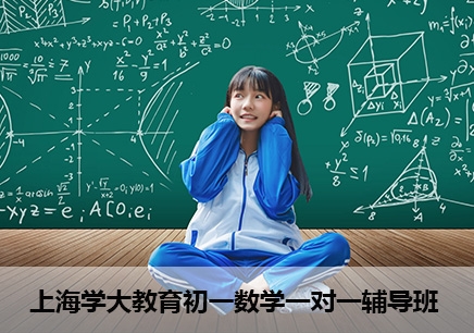 上海初一数学一对一辅导班