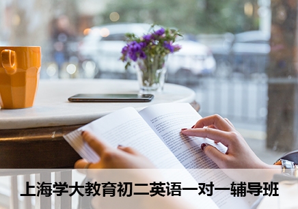 上海初二英语一对一补习班