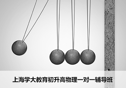 上海初升高物理一对一辅导课程