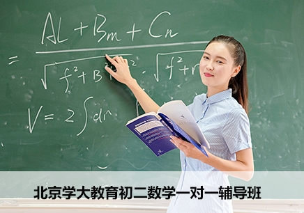 北京初二数学一对一辅导课程