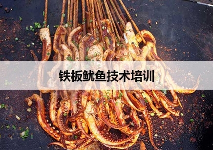 惠州铁板鱿鱼技术培训