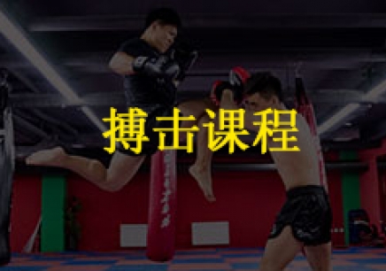 北京私教格斗课程