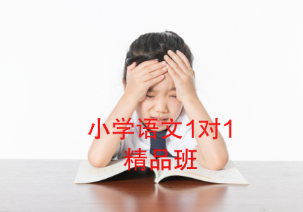 北京小学语文1对1补习班