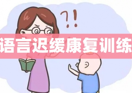 重庆语言发育迟缓辅导机构哪家好
