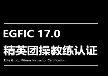 EGFIC17.0精英团操教练认证