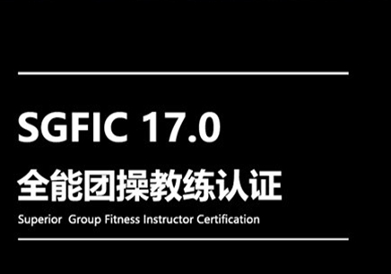 SGFIC17.0全能团操教练认证课程