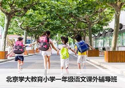 北京小学一年级语文课外一对一辅导班多少钱