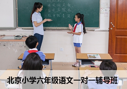 北京小学六年级语文一对一辅导班
